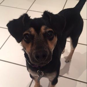 Meet your Posher, Ashley